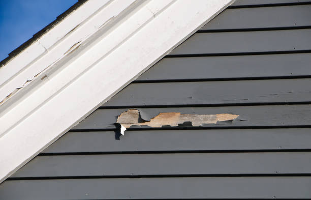 Fascia and Soffit Installation in Lennox, CA